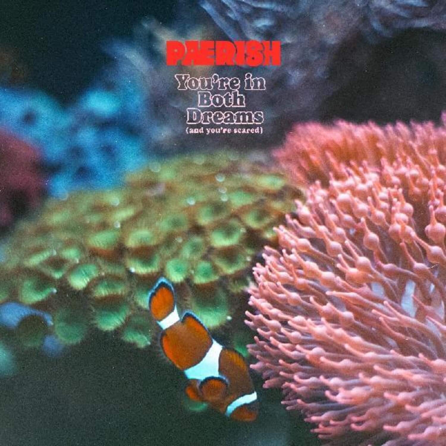 Paerish - You're In Both Dreams (and You're Scared)   - COMPACT DISCS [CD] price history on PriceWatchPro