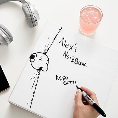 Alex's Notebook  
KEEP OUT!!