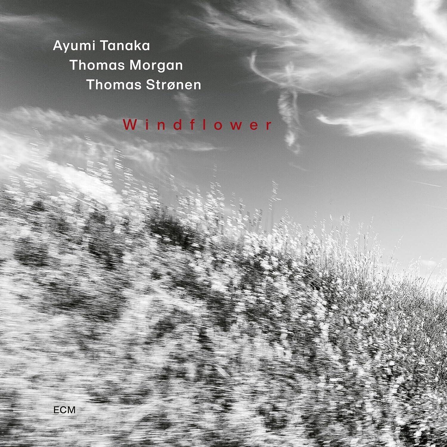 Ayumi Tanaka  
Thomas Morgan  
Thomas Strønen  

Windflower  

ECM