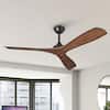 Front. Parrot Uncle - 52" Modern 3-Blade Ceiling Fan Without Light, 6-Speed Reversible DC Motor, Remote Control - Brown.