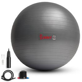 Sunny Health & Fitness - Premium Yoga Ball - Middle Grey