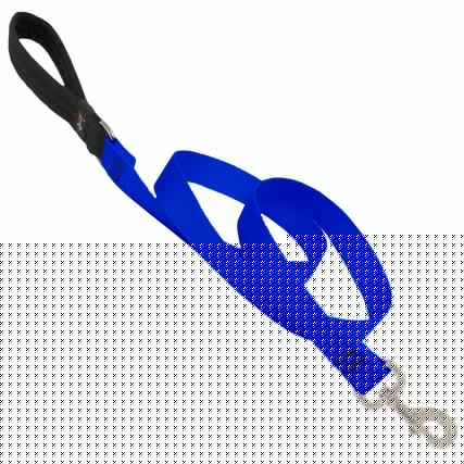 Front. LupinePet - LupinePet Basic Solids Blue Blue Nylon Dog Leash - Blue.