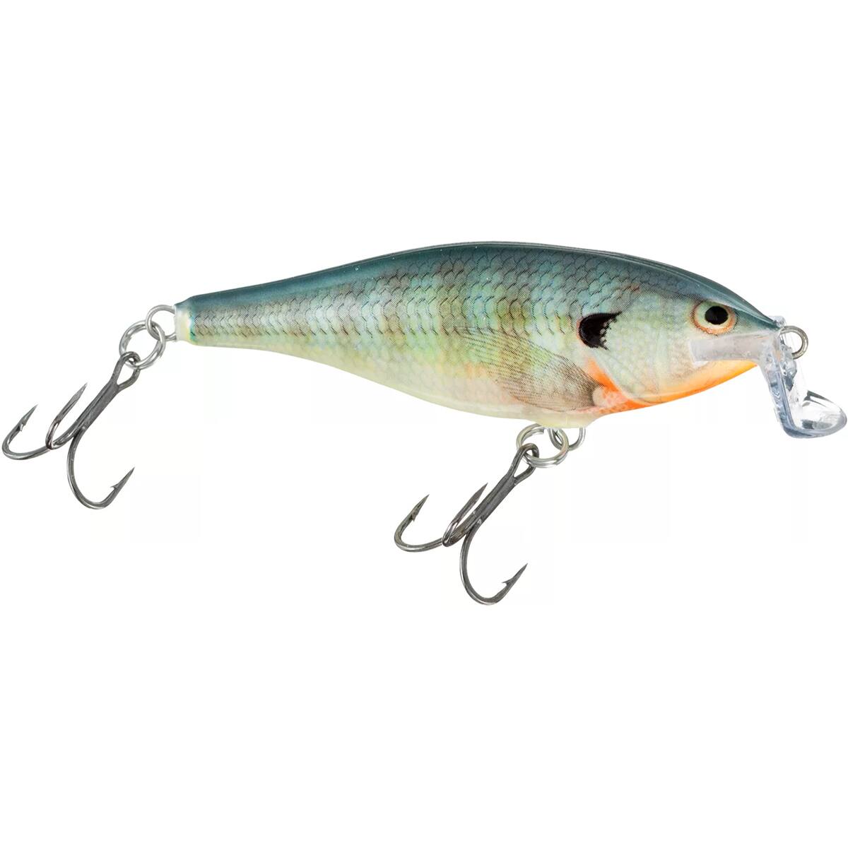 Bluegill
