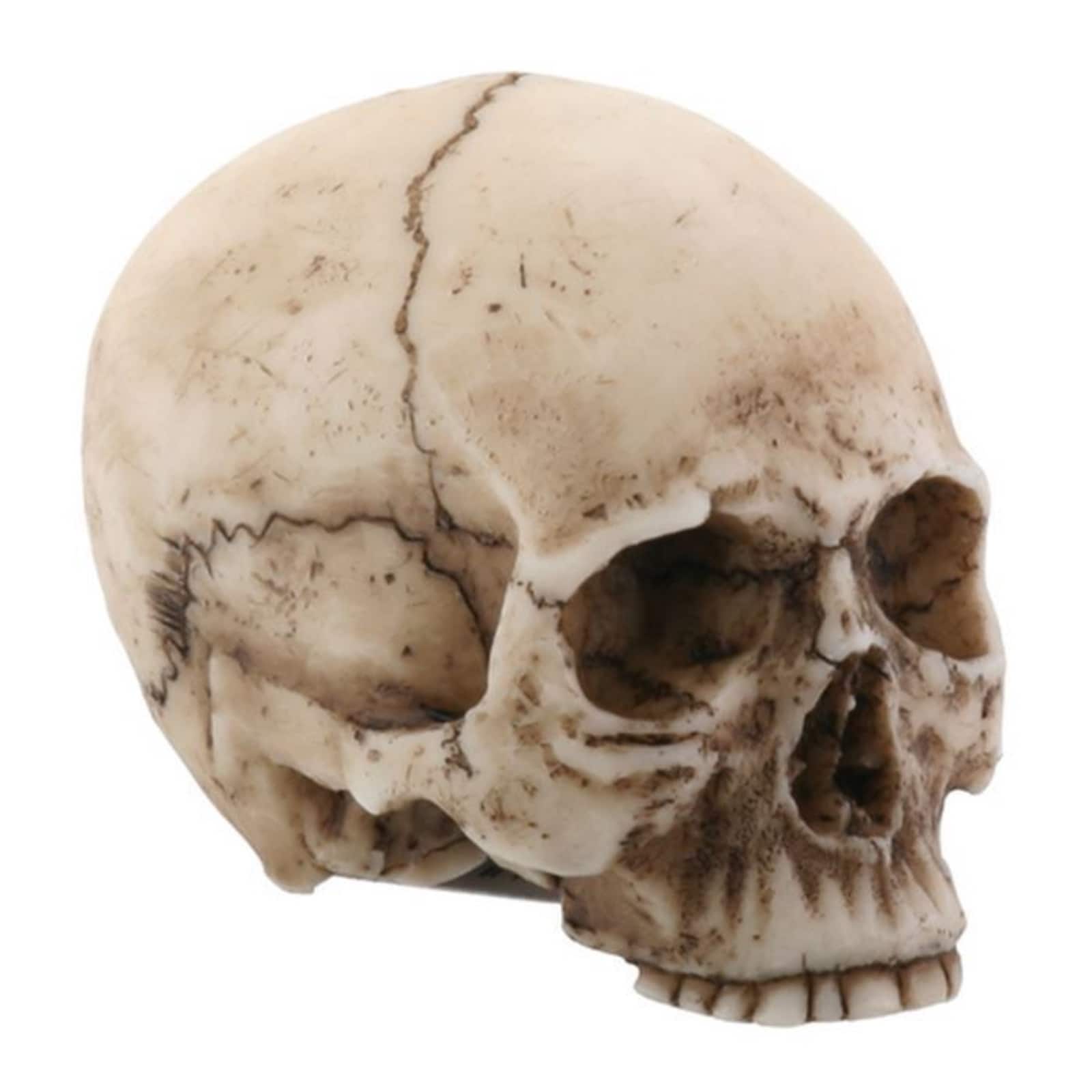 Pacific Trading - Small Human Skull Halloween Miniature Figurine 1.75 in