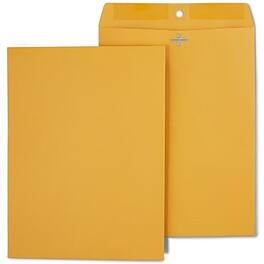 Staples - Clasp Close Kraft Catalog Envelopes, 9"L x 12"H, 250/Box - Brown