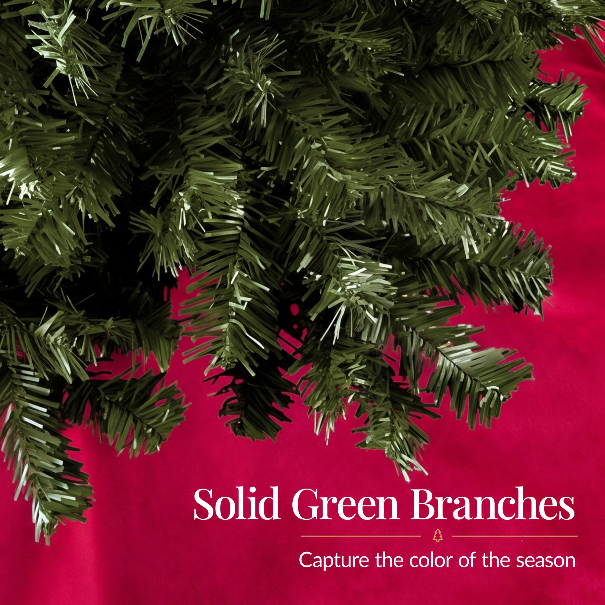 Solid Green Branches  
Capture the color of the season