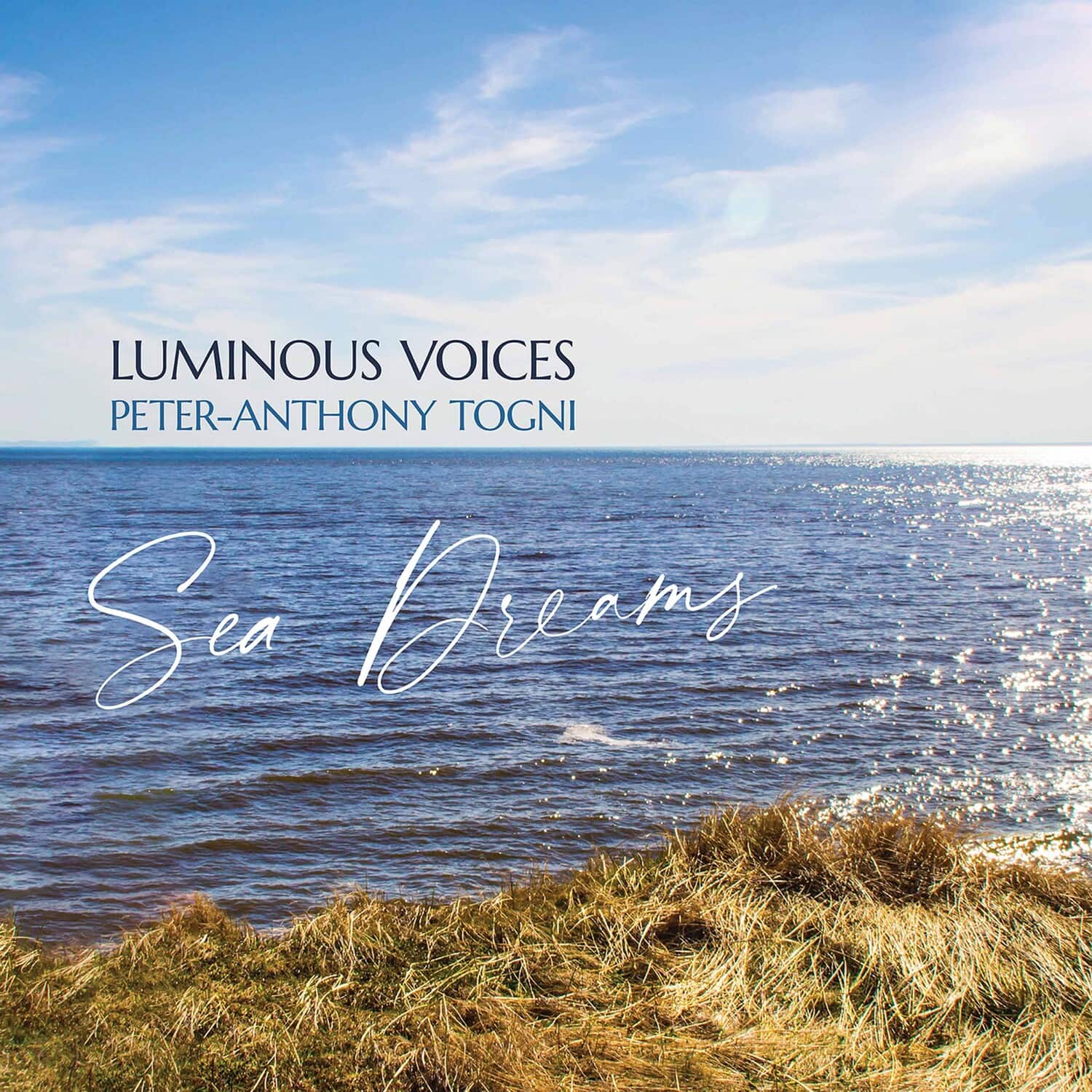 Luminous Voices - Sea Dreams   - COMPACT DISCS [CD] price history on PriceWatchPro