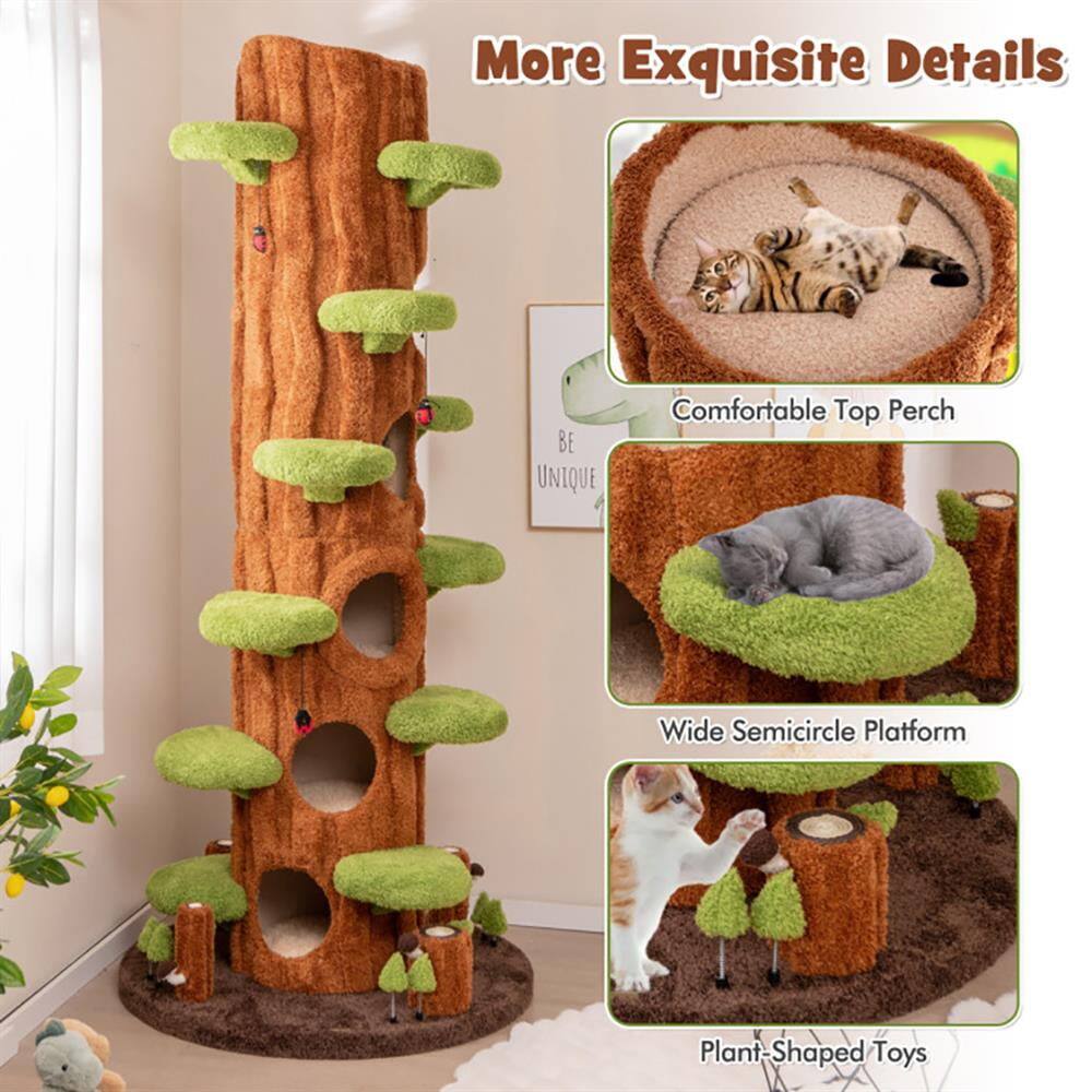 More Exquisite Details  
BE UNIQUE  
Comfortable Top Perch  
Wide Semicircle Platform  
Plant-Shaped Toys
