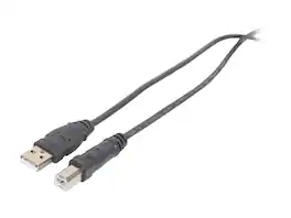 Belkin - F3U133b06 Black Hi-Speed USB 2.0 Cable