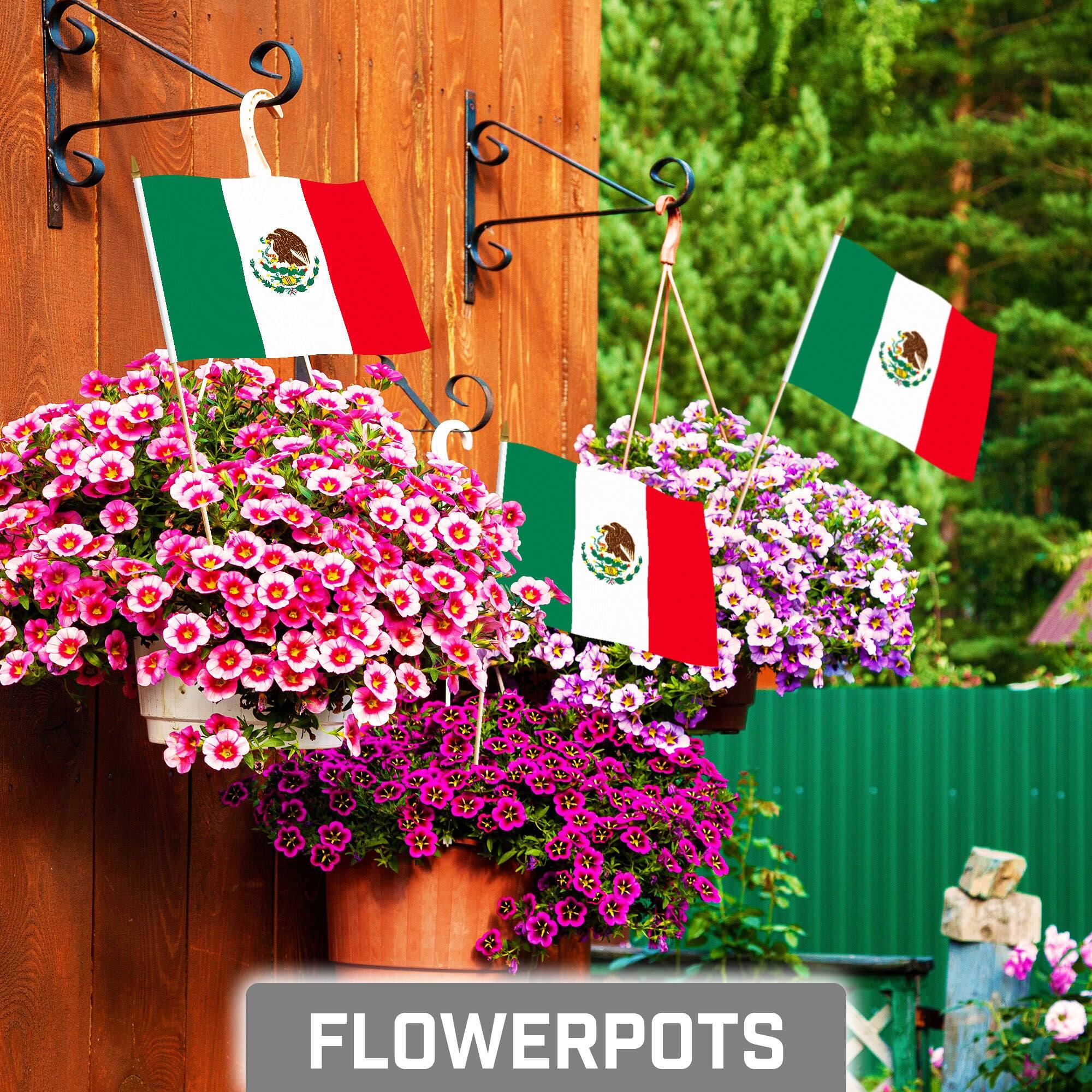 Angle. G128 - 50-Pack Handheld Mexico Flags, 8 x 12 in, 150D Polyester with Wooden Stick and Gold Spear Tip. - Assorted Colors.