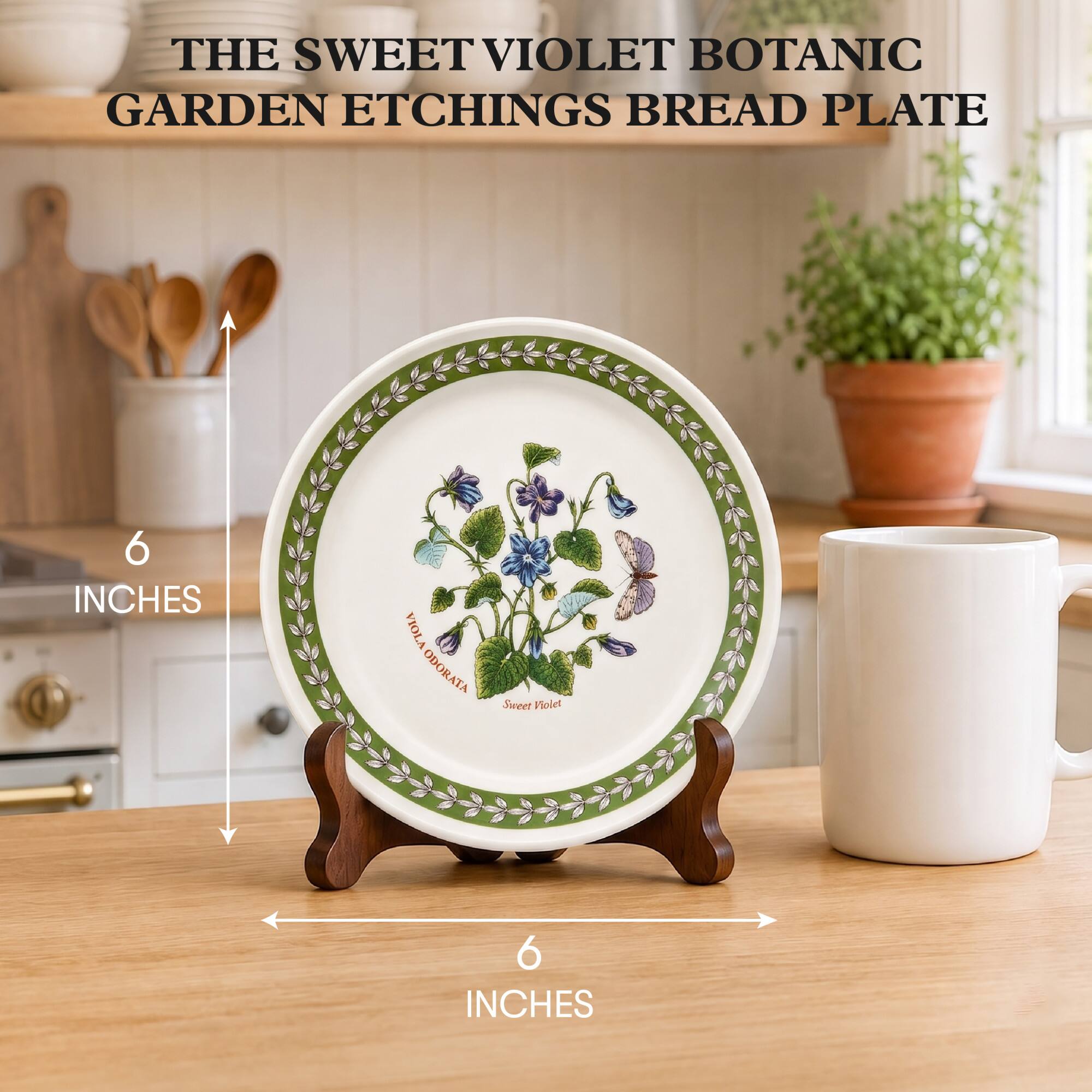 THE SWEET VIOLET BOTANIC GARDEN ETCHINGS BREAD PLATE

6 INCHES

VIOLA ODORATA

Sweet Violet

6 INCHES