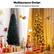 Multipurpose Design Ideal for Christmas & Halloween