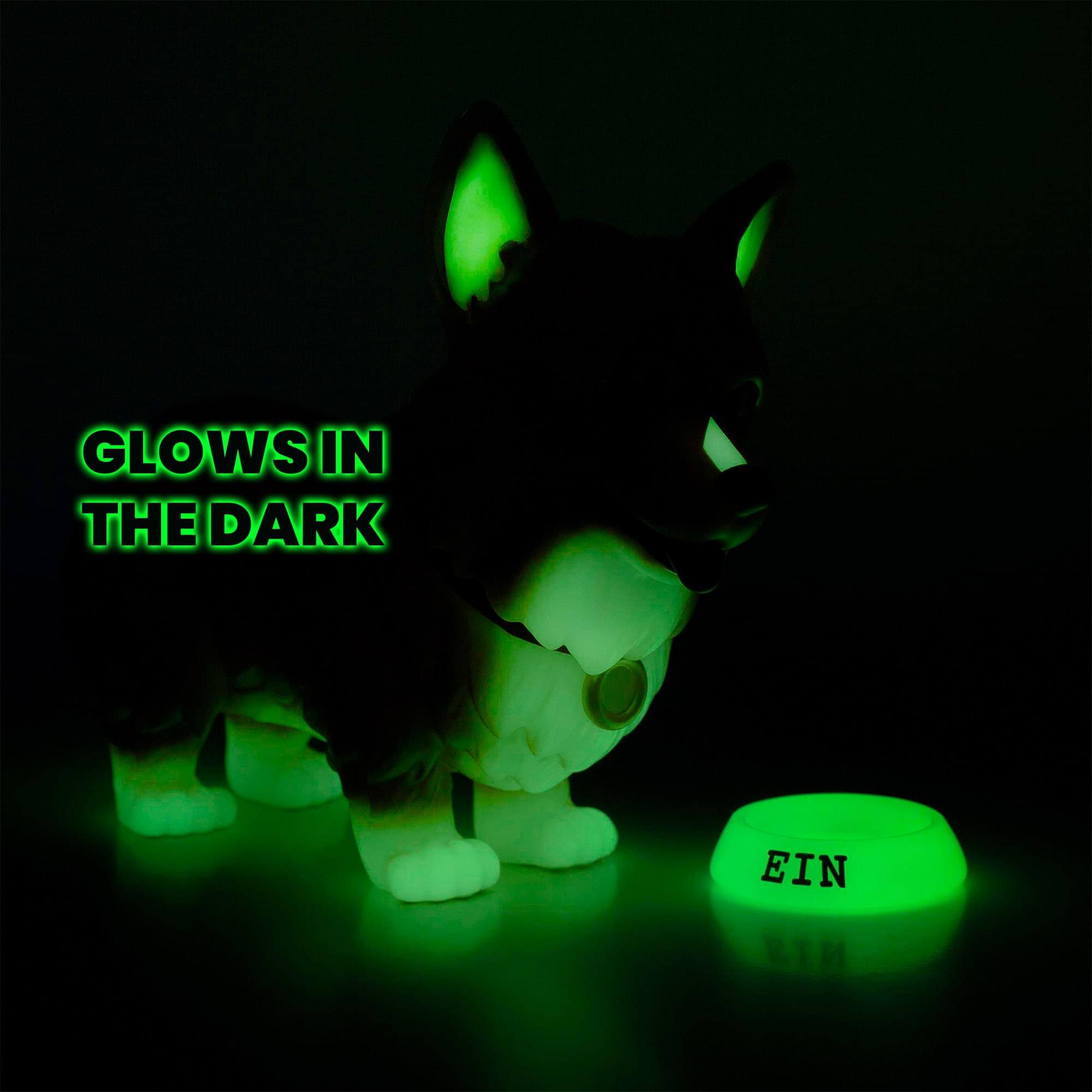 GLOWS IN THE DARK  
EIN