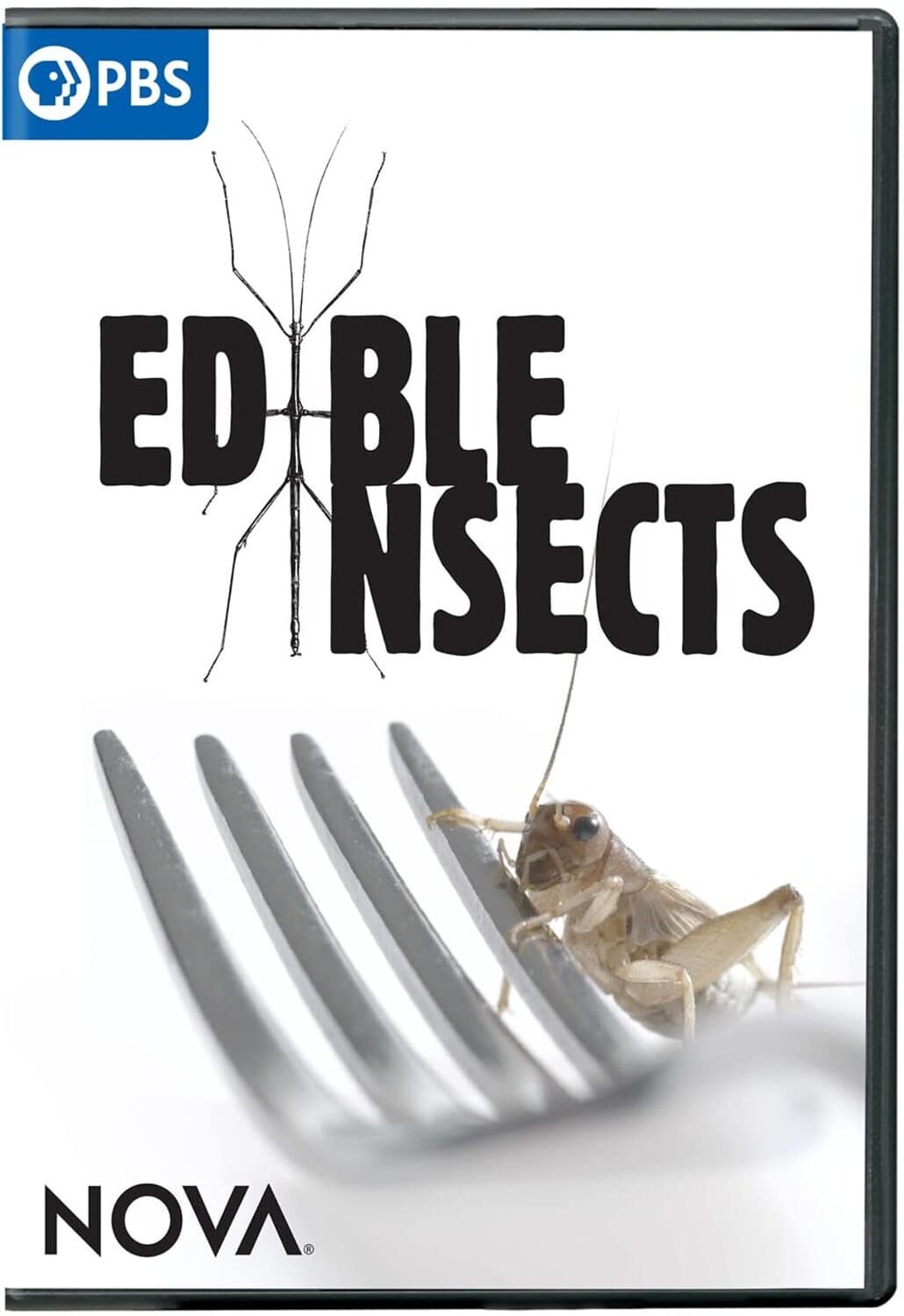 NOVA: Edible Insects  - DVD