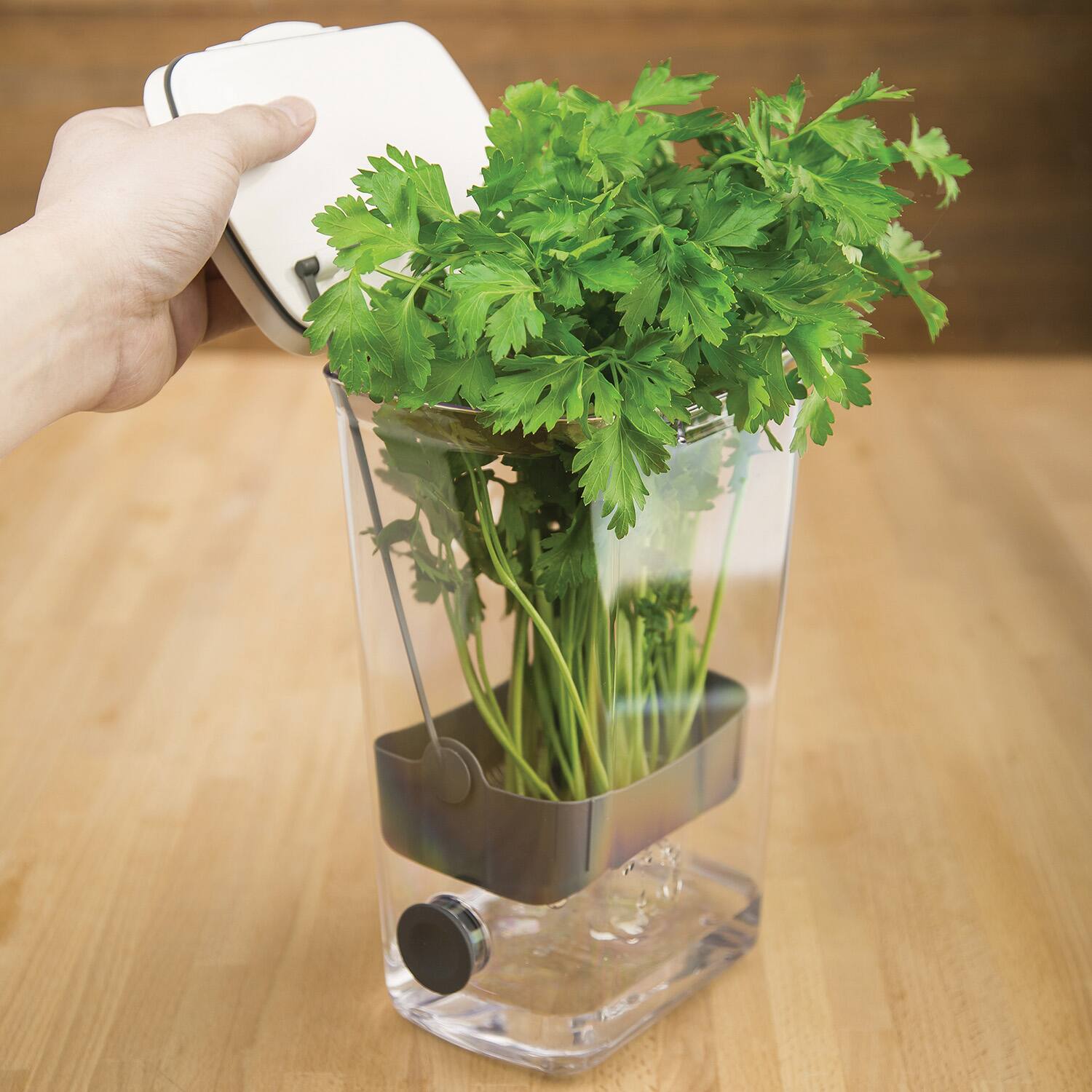 Alt View 2. Progressive International - Progressive Prepworks BPA-Free Plastic Herb ProKeeper for Herbs, White - Clear.