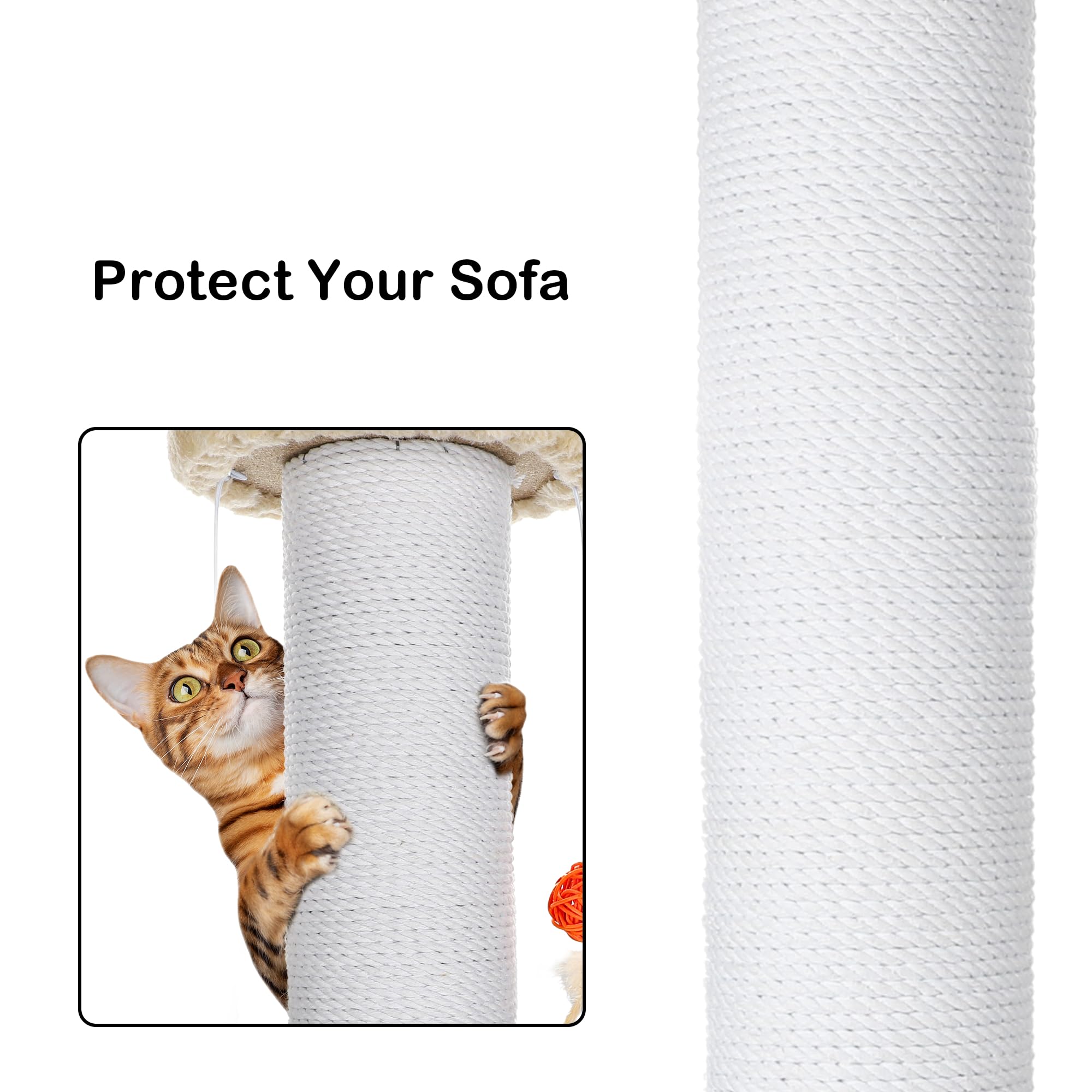 Protect Your Sofa