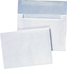 Quality Park - Booklet Envelope 4 3/4" x 6 1/2", 100/Box - White