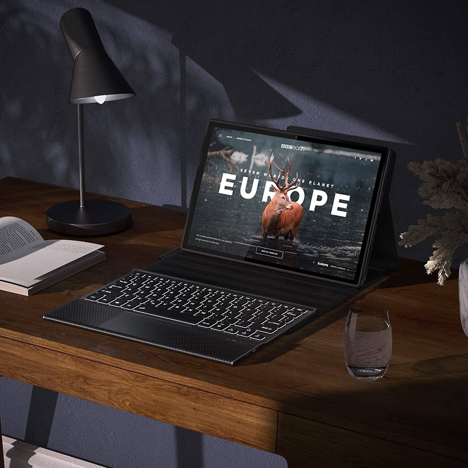 The text on the image reads "Europe".