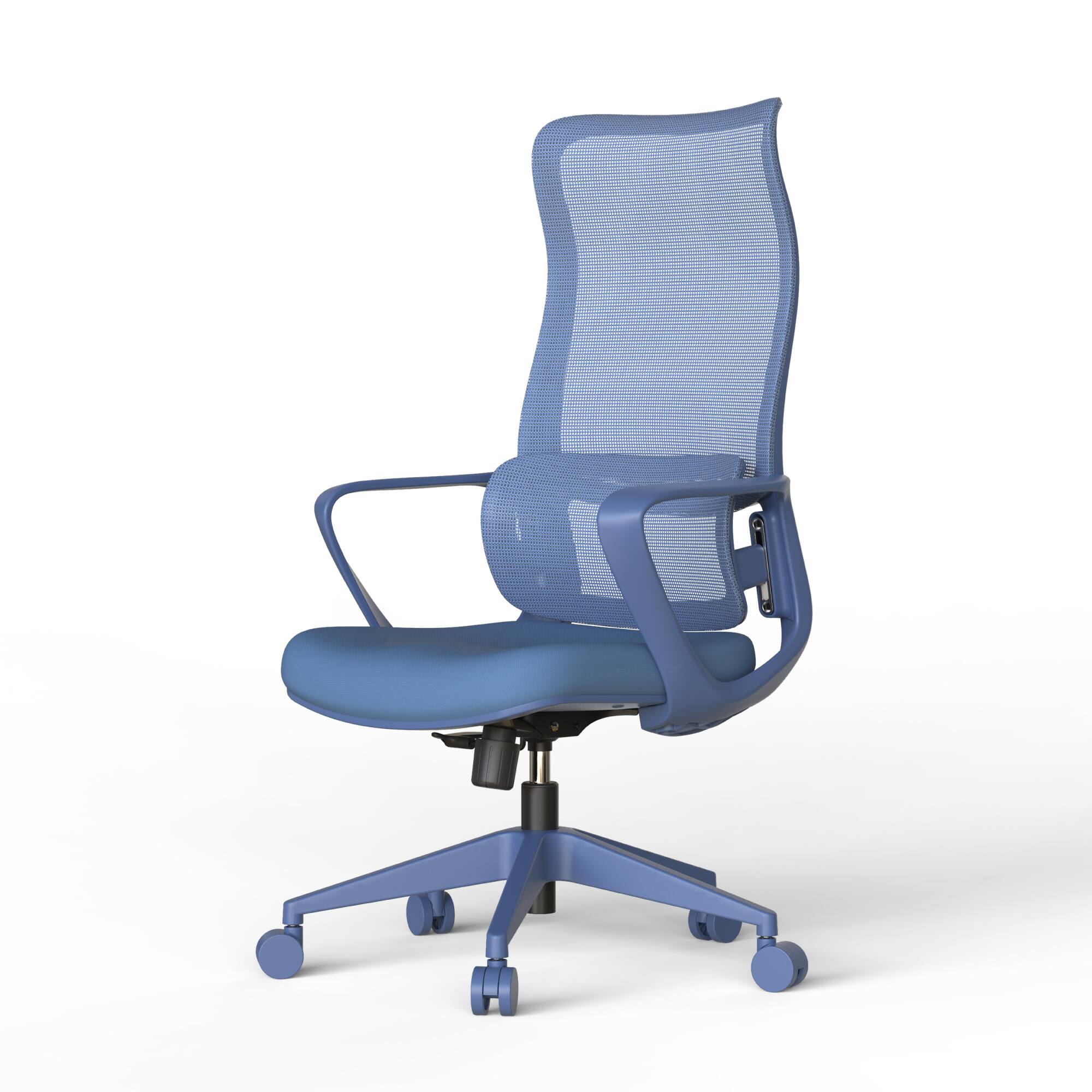 Alt View 4. Forest'nSky - Modern Ergonomic Mesh Office Chair – High-Back Executive Desk Chair with Lumbar Support, Adjustable Height, Blue - Blue.