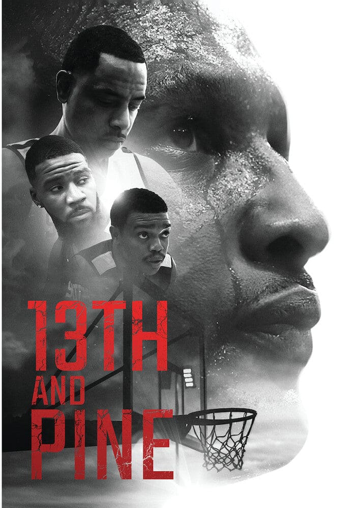 13th and Pine (MOD) (DVD Movie) price history on PriceWatchPro