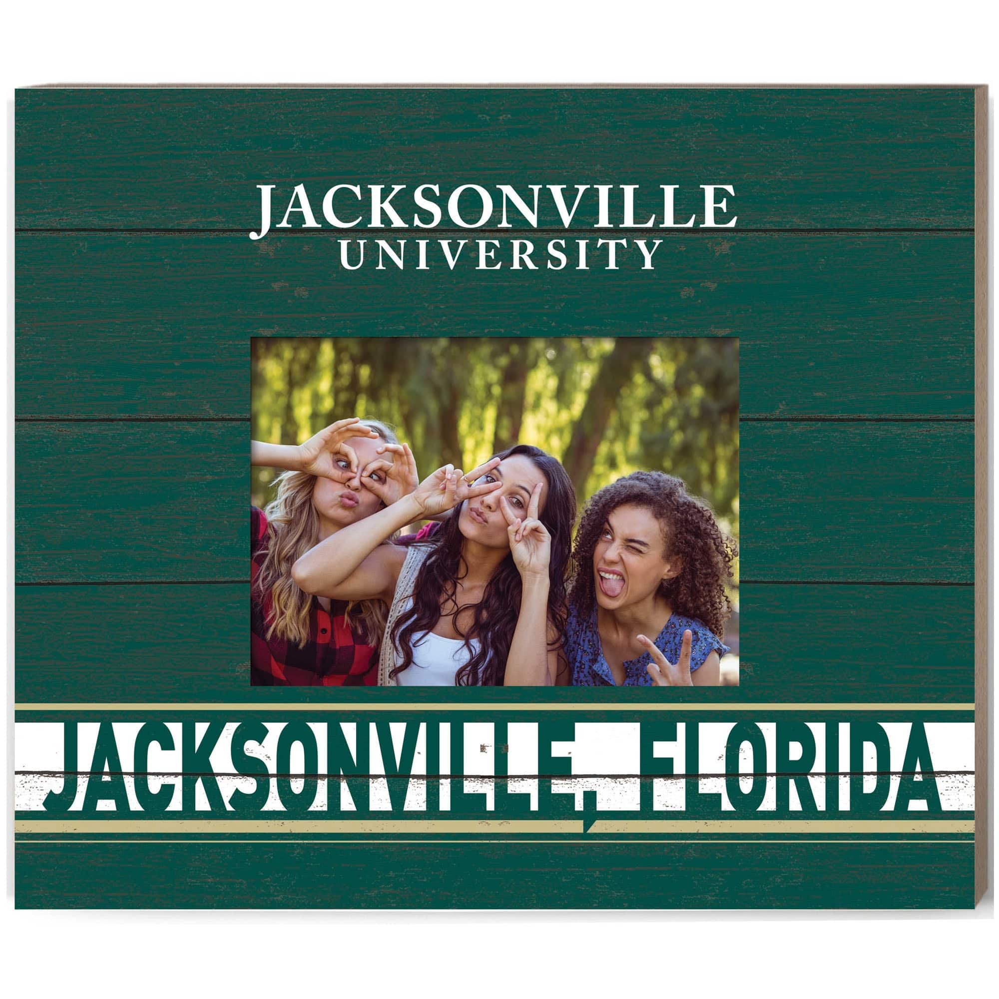 Jardine - JU Dolphins 11'' x 13'' Team Spirit Scholastic Picture Frame - Green price history on PriceWatchPro