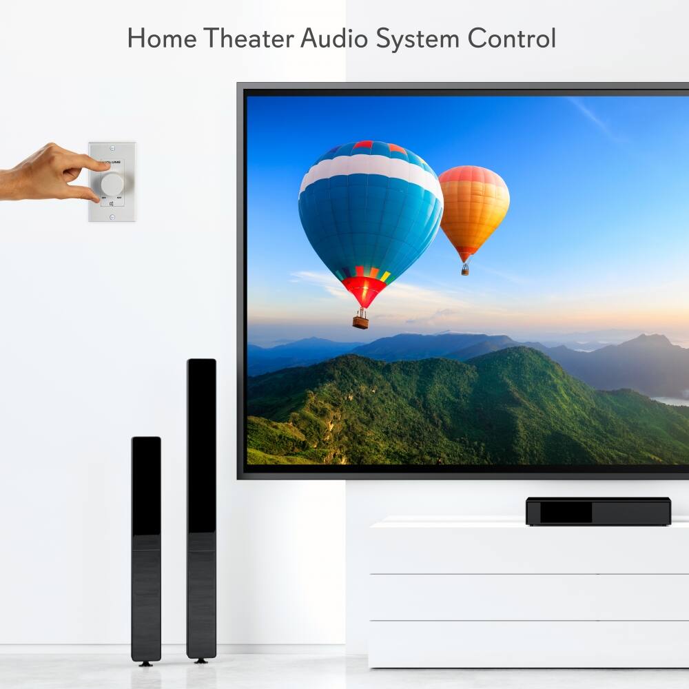 Home Theater Audio System Control