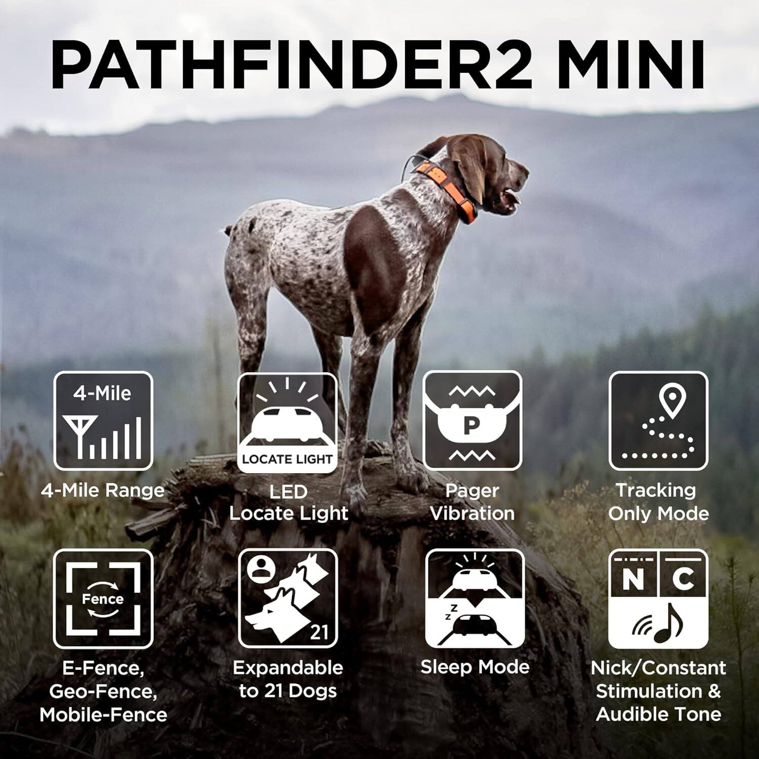 PATHFINDER2 MINI

- 4-Mile Range
- LED Locate Light
- Pager Vibration
- Tracking Only Mode
- E-Fence, Geo-Fence, Mobile-Fence
- Expandable to 21 Dogs
- Sleep Mode
- Nick/Constant Stimulation & Audible Tone