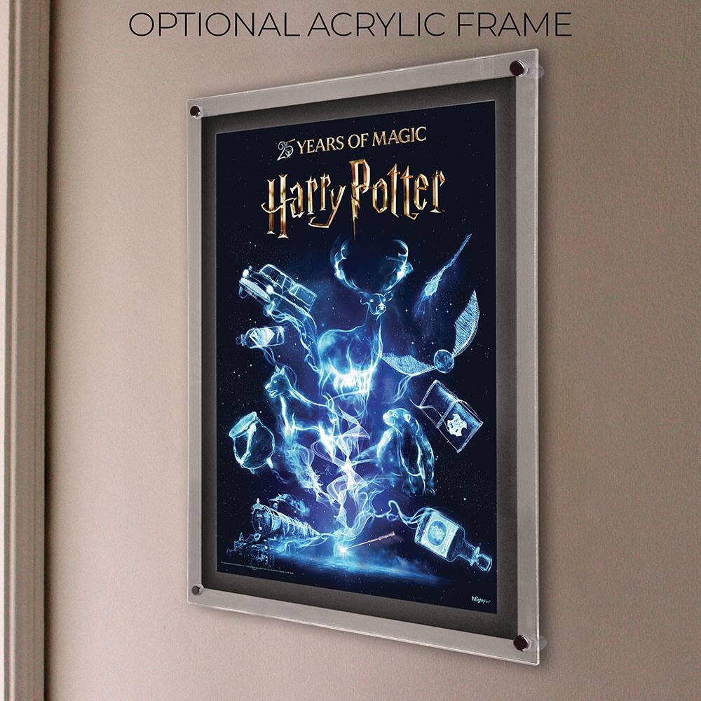 OPTIONAL ACRYLIC FRAME

25 YEARS OF MAGIC

Harry Potter