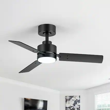 Front. Breezary - 36'' Ceiling Fan, 3-Color Light, 3 Dual-Finish Plywood Blades, DC Motor, 6-Speed Remote Control, 5-Inch Downrod - Matte Black and Dark Wood Grain + Light Wood Grain.