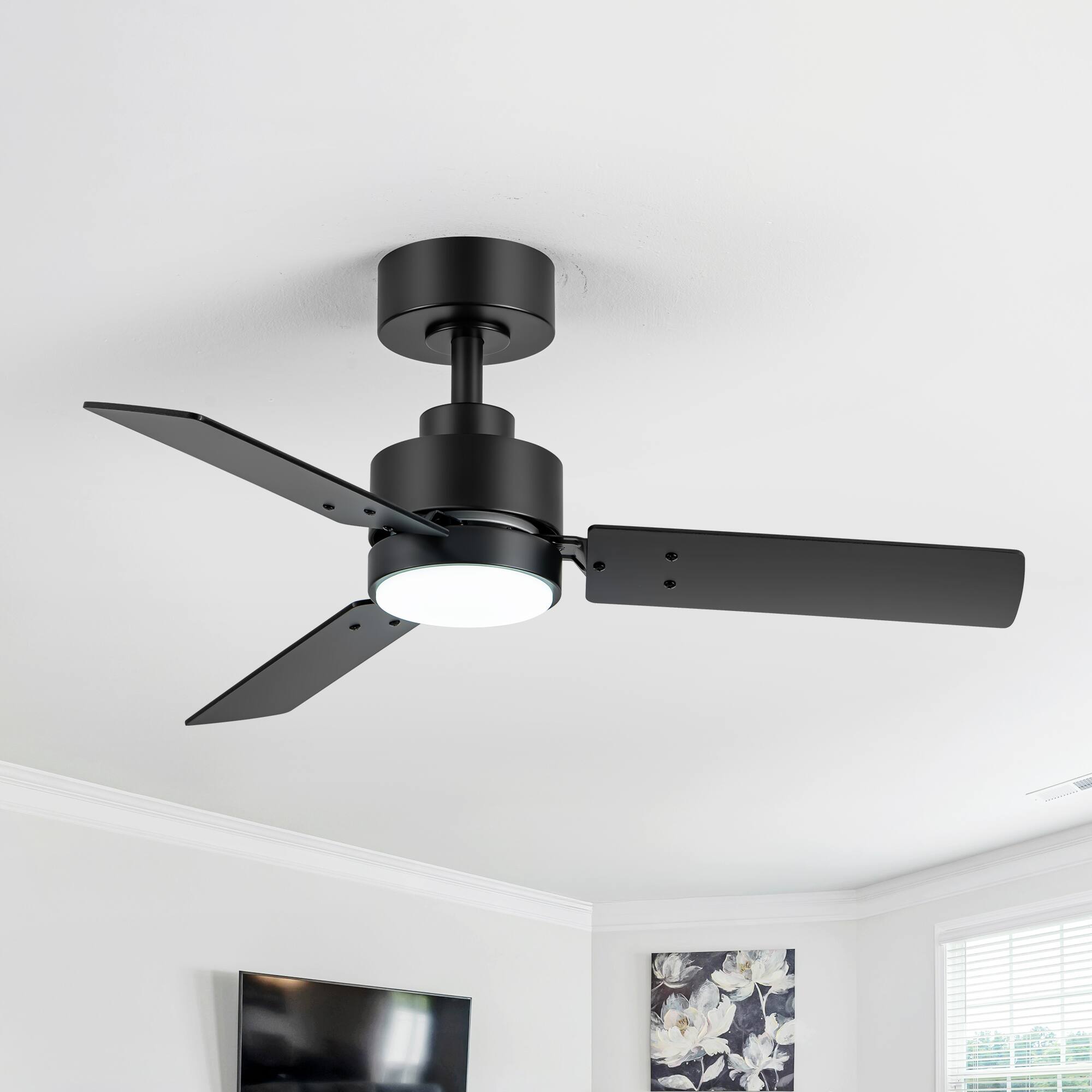 Breezary - 36'' Ceiling Fan, 3-Color Light, 3 Dual-Finish Plywood Blades, DC Motor, 6-Speed Remote Control, 5-Inch Downrod - Matte Black and Dark Wood Grain + Light Wood Grain