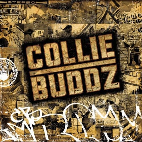 Collie Buddz - Collie Buddz   - COMPACT DISCS [CD] price history on PriceWatchPro