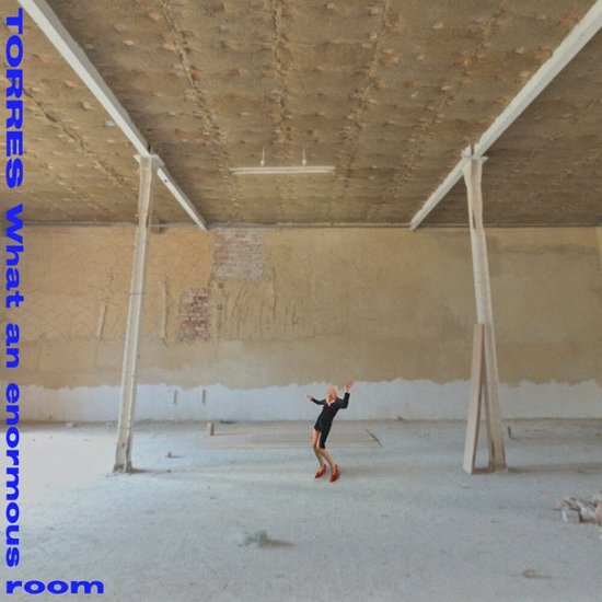 Front. What an Enormous Room [LP].