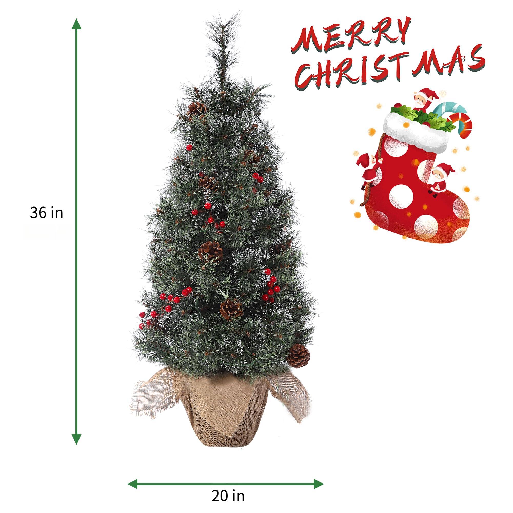 MERRY CHRISTMAS

36 in  
20 in