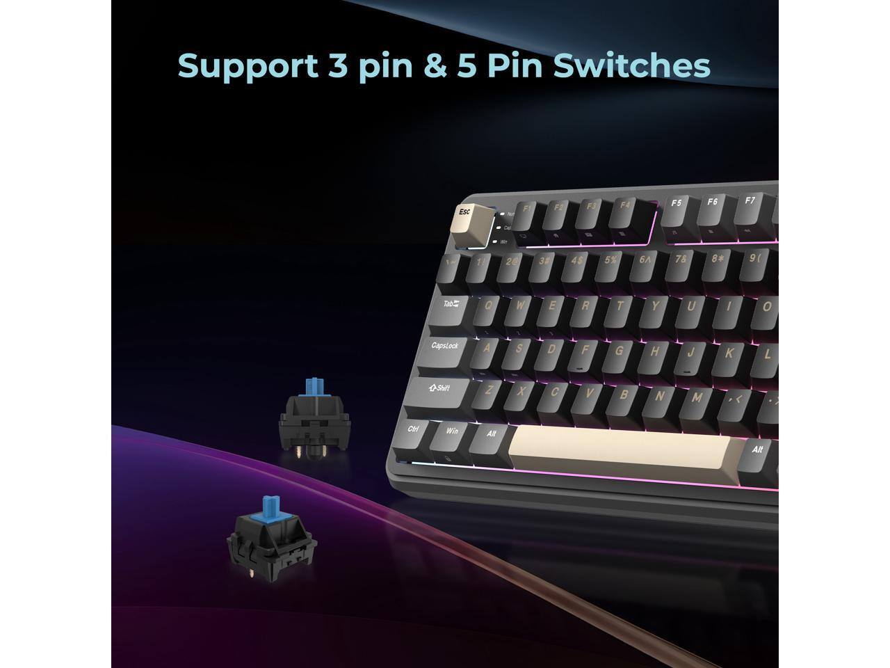 Support 3 pin & 5 Pin Switches