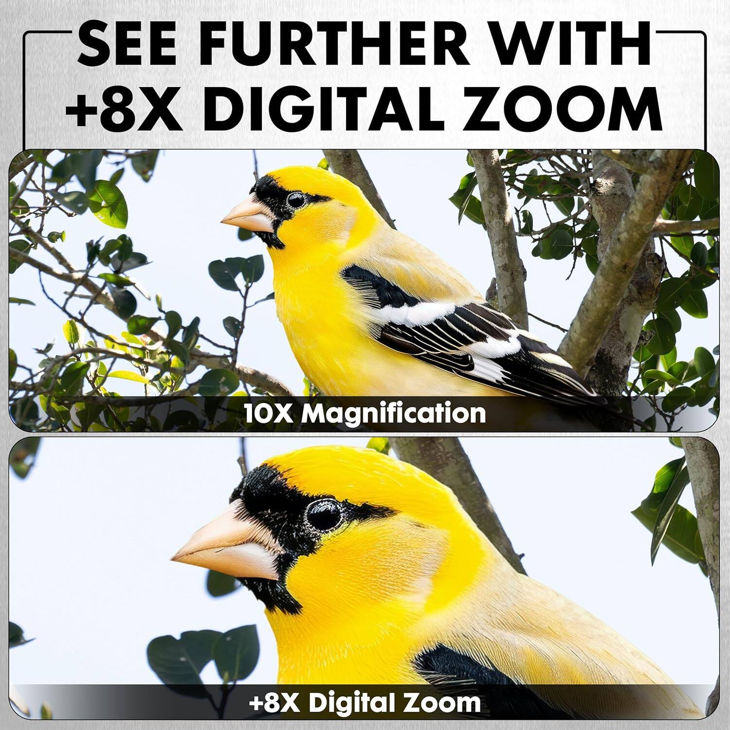 SEE FURTHER WITH +8X DIGITAL ZOOM  
10X Magnification  
+8X Digital Zoom