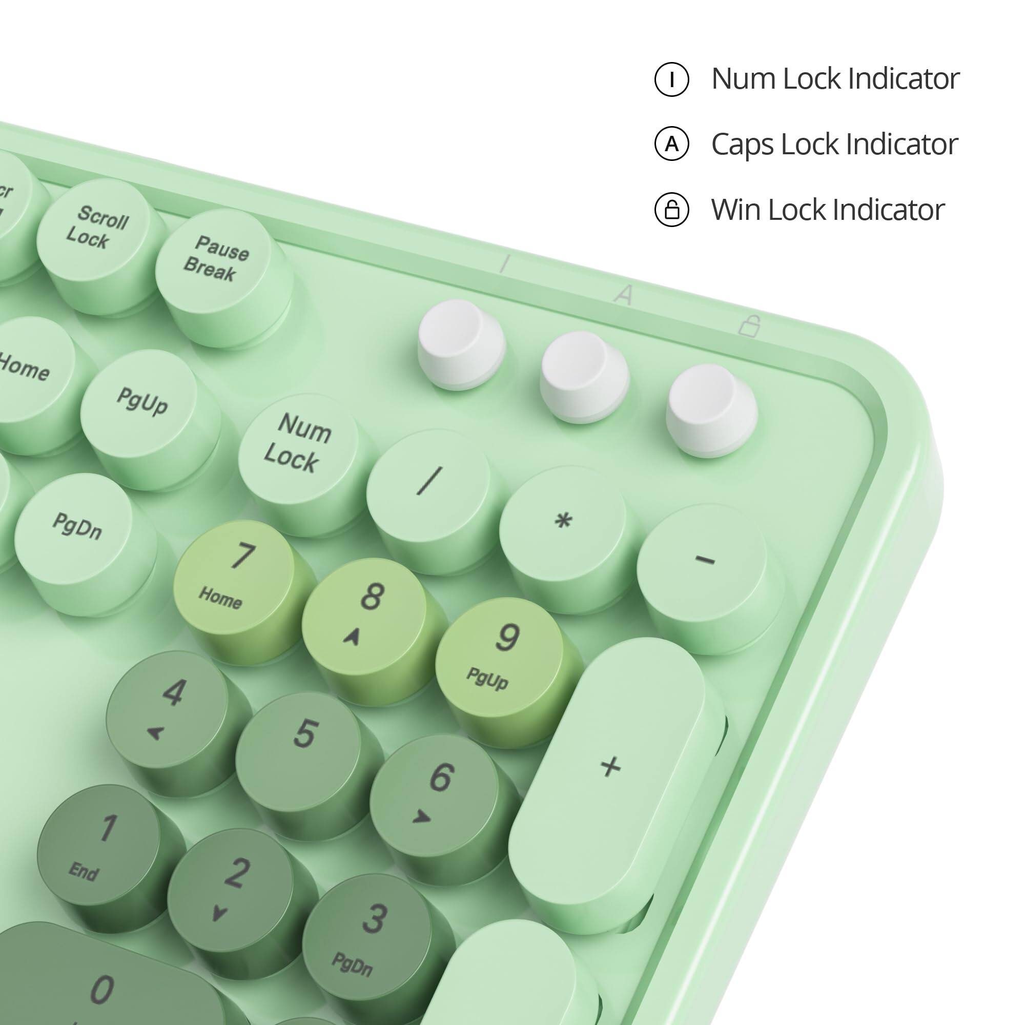 Sure, here is the corrected and grouped text from the image:

**Top Row:**
- Scroll Lock
- Pause Break

**Indicator Symbols:**
- Num Lock Indicator
- Caps Lock Indicator
- Win Lock Indicator

**Number Pad:**
- Home
- PgUp
- Num Lock
- 7
- 8
- 9
- PgDn
- 4
- 5
- 6
- End
- 1
- 2
- 3
- 0

**Additional Keys:**
- /
- *
- -

**Side Indicators:**
- Serial Lock
- Pause Break

**Indicator Symbols (repeated):**
- Num Lock Indicator
- Caps Lock Indicator
- Win Lock Indicator