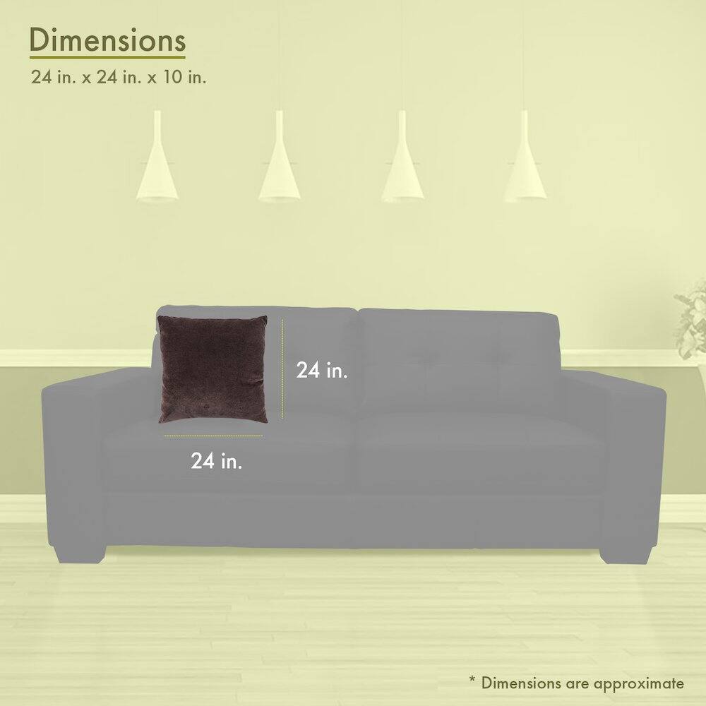 Dimensions  
24 in. x 24 in. x 10 in.  

24 in.  
24 in.  

* Dimensions are approximate
