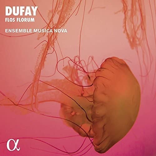 Dufay / Ensemble Musica Nova - Flos Florum   - COMPACT DISCS [CD] price history on PriceWatchPro