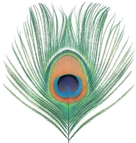 Front. XTC - Apple Venus Vol 1   - VINYL LP.