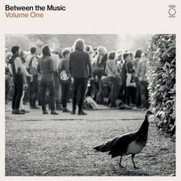 Various Artists - End Of The Road Presents: Between The Music / Various - White Colored Vinyl - VINYL LP