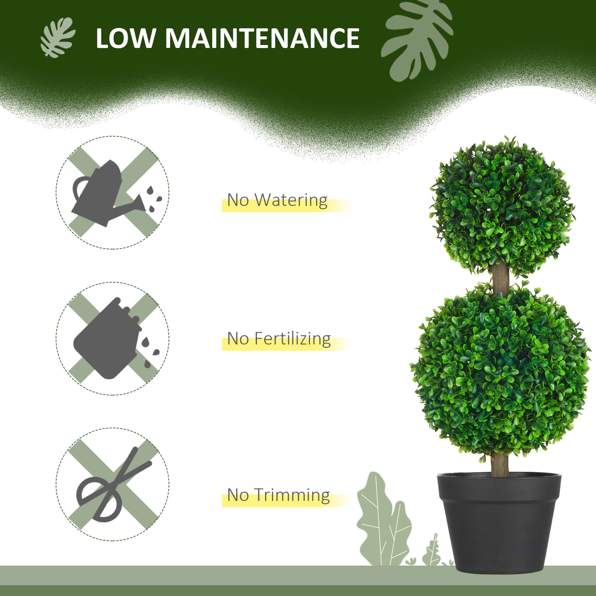 LOW MAINTENANCE
No Watering
No Fertilizing
No Trimming