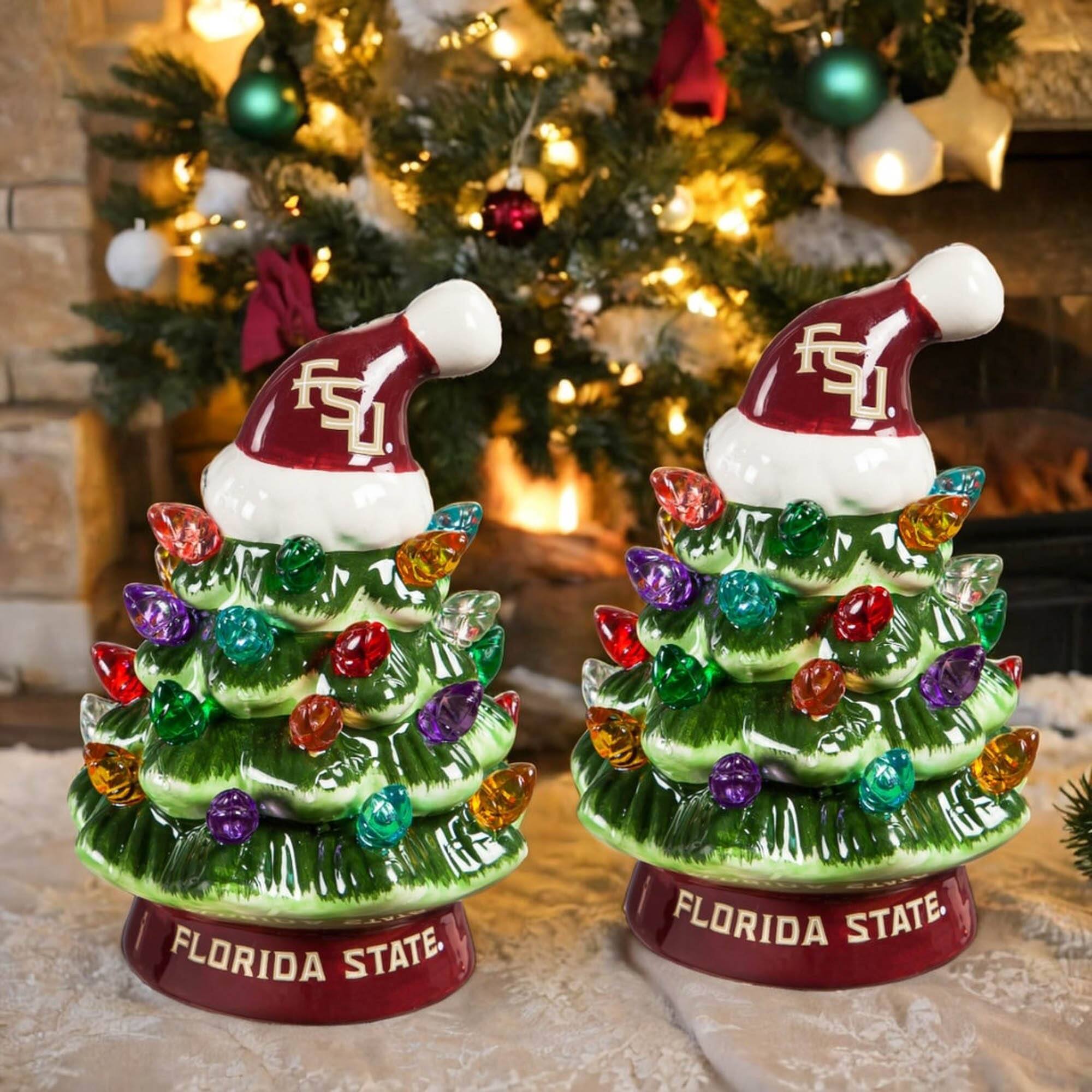 FLORIDA STATE  
FLORIDA STATE