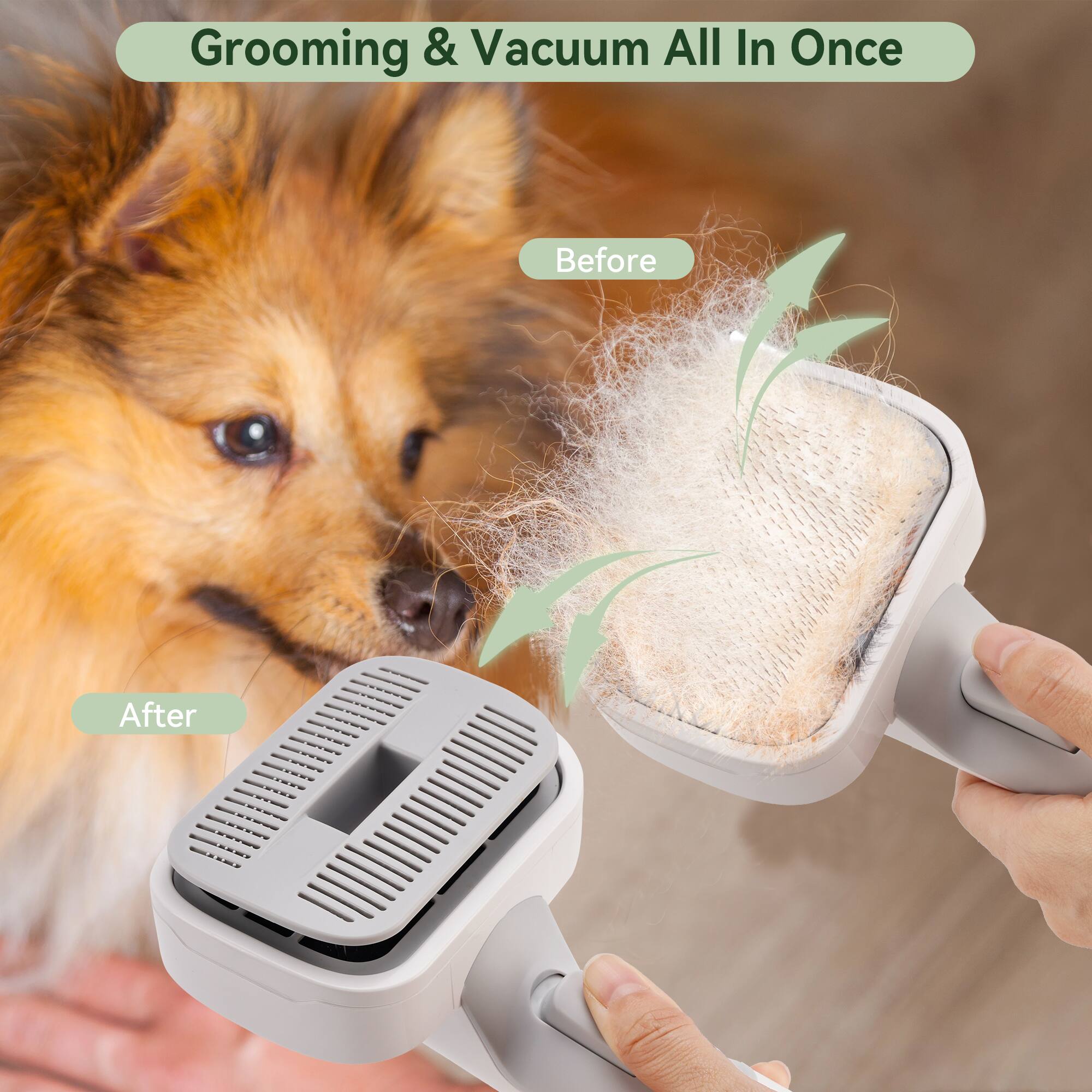 Grooming & Vacuum All In Once

Before

After