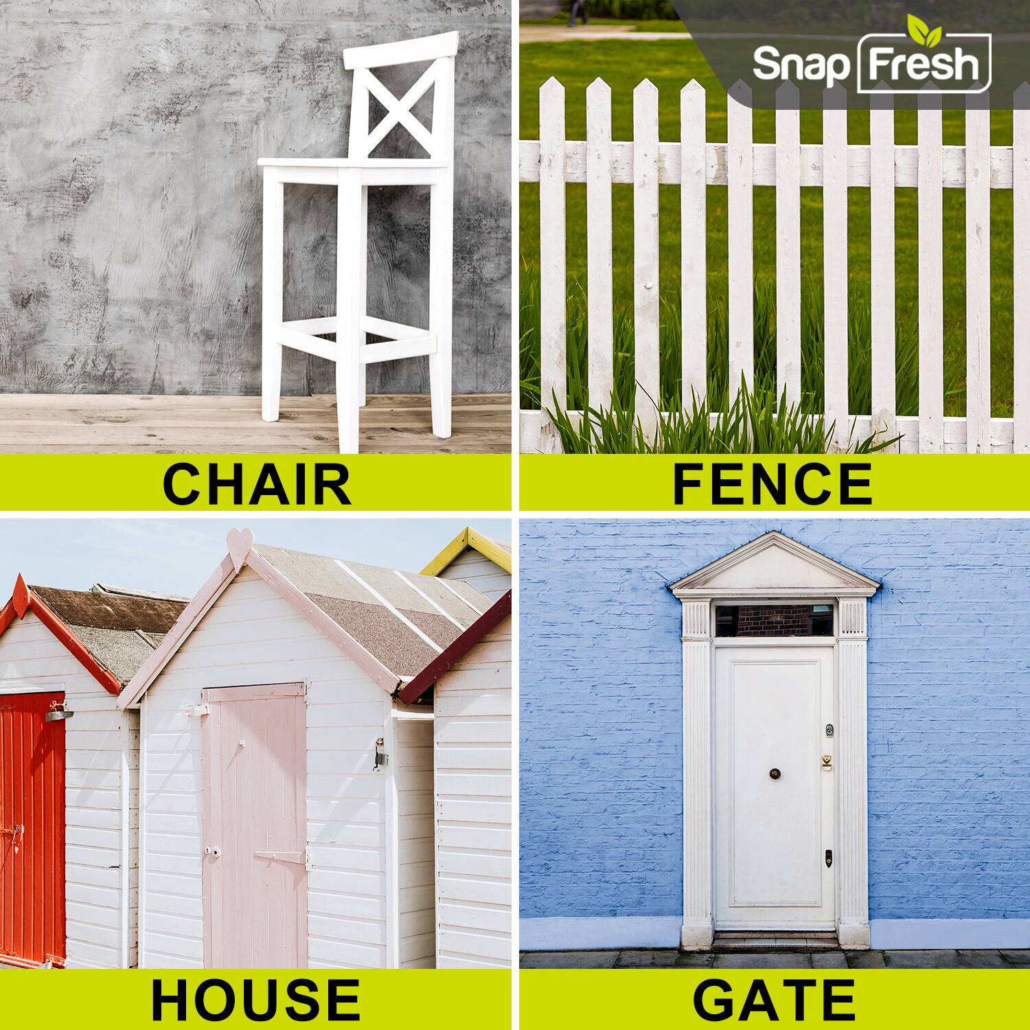 Snap Fresh

CHAIR

FENCE

HOUSE

GATE