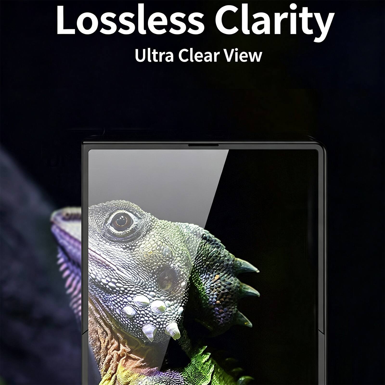 Lossless Clarity  
Ultra Clear View