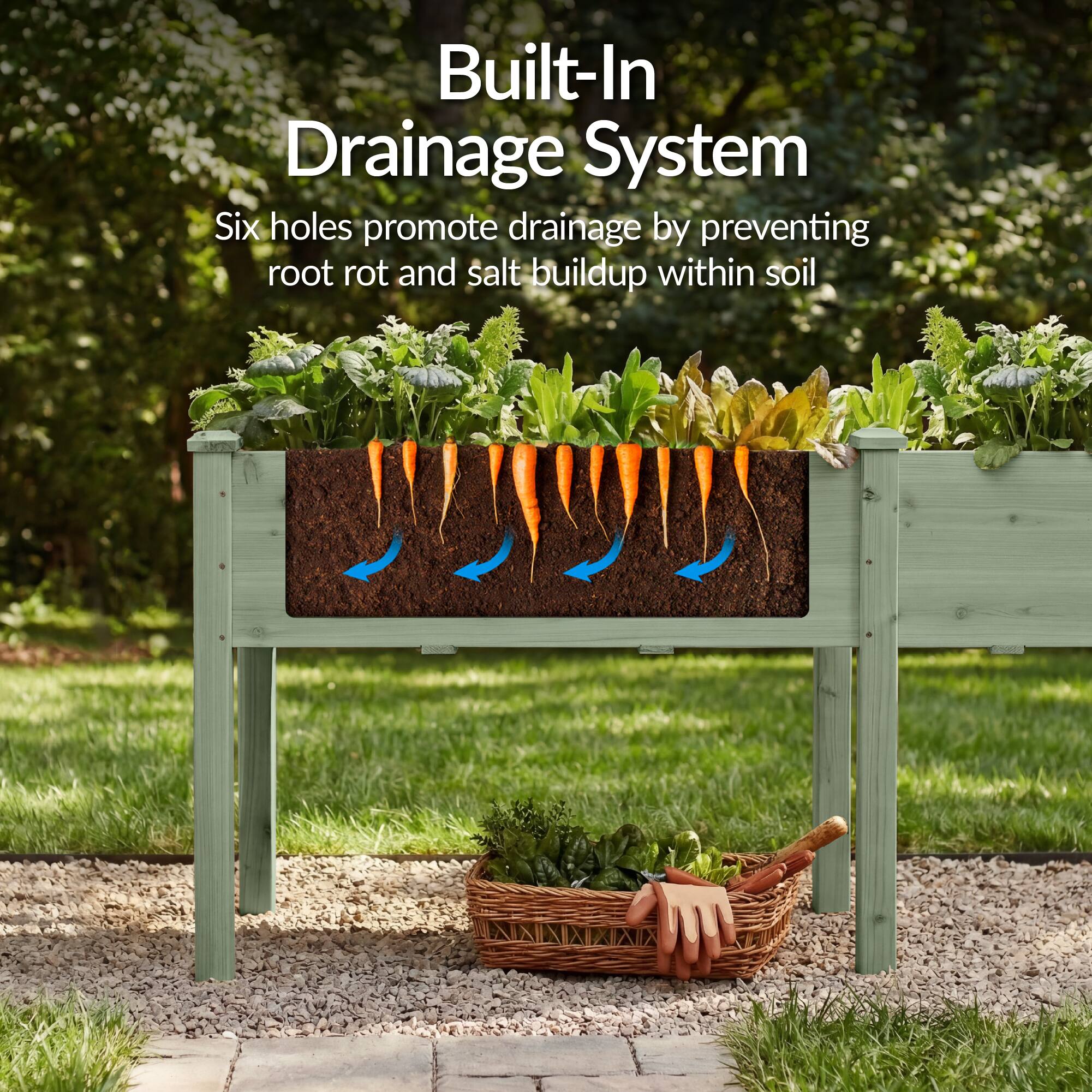 Built-In Drainage System  
Six holes promote drainage by preventing root rot and salt buildup within soil