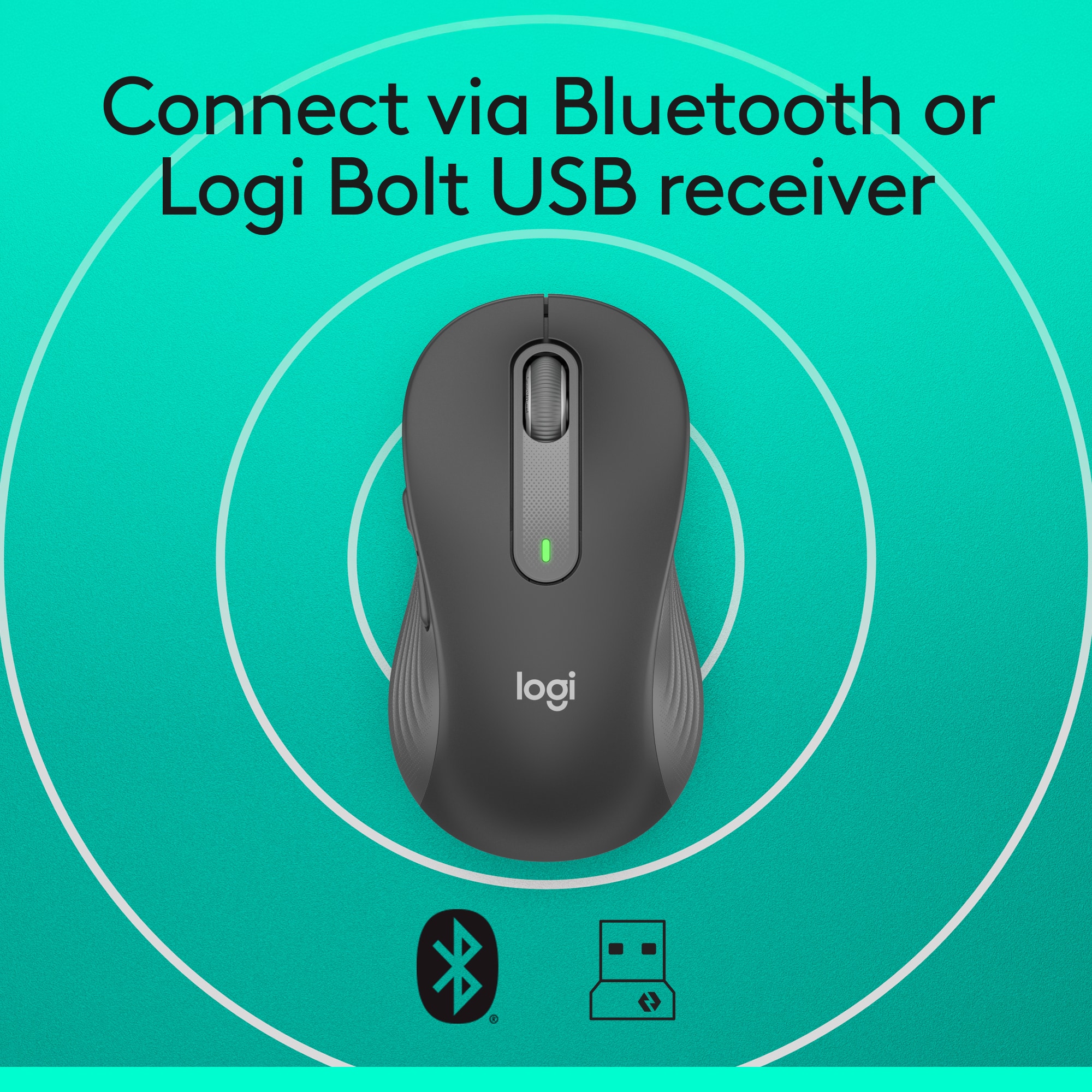Connect via Bluetooth or Logi Bolt USB receiver.