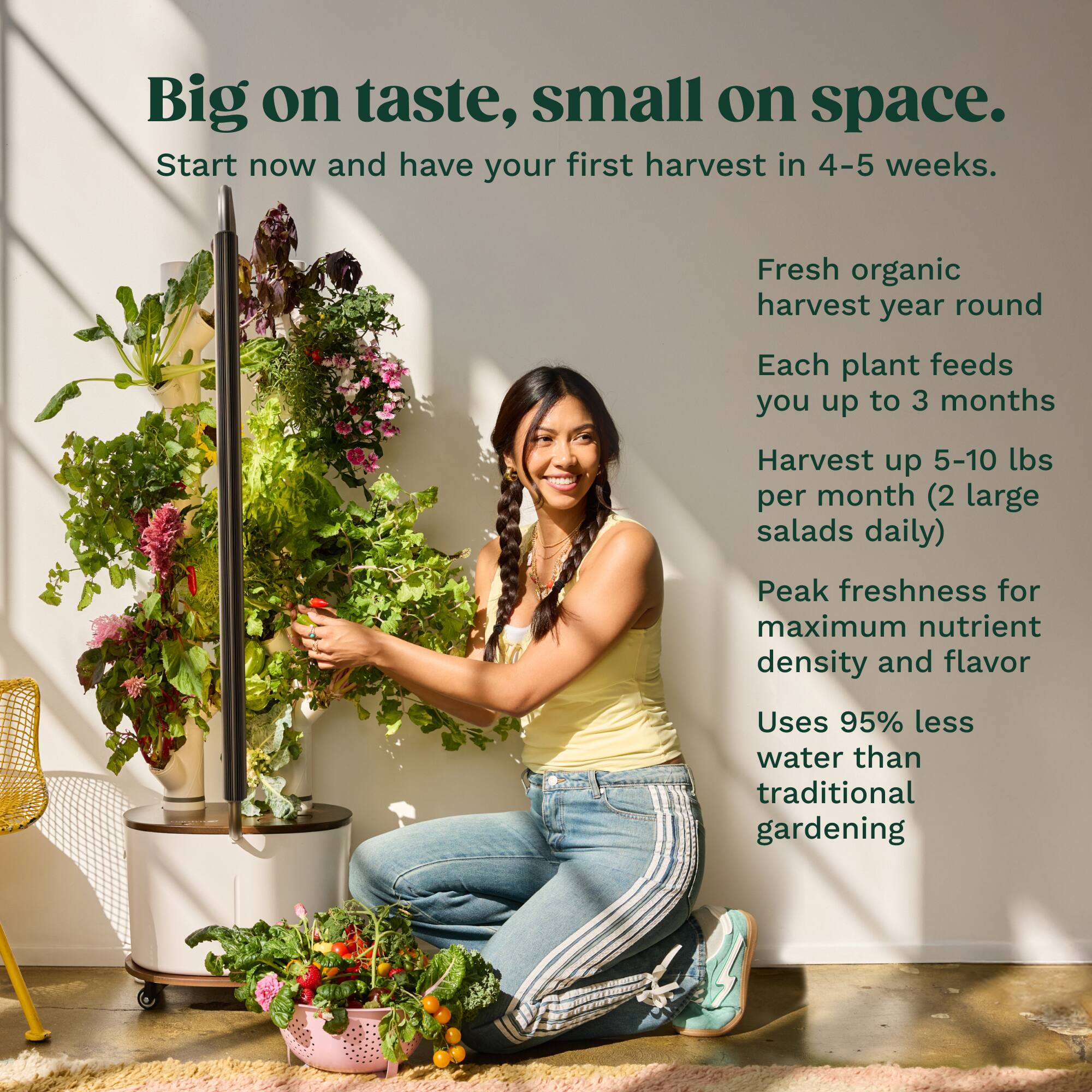 Big on taste, small on space.

Start now and have your first harvest in 4-5 weeks.

- Fresh organic harvest year round
- Each plant feeds you up to 3 months
- Harvest up 5-10 lbs per month (2 large salads daily)
- Peak freshness for maximum nutrient density and flavor
- Uses 95% less water than traditional gardening