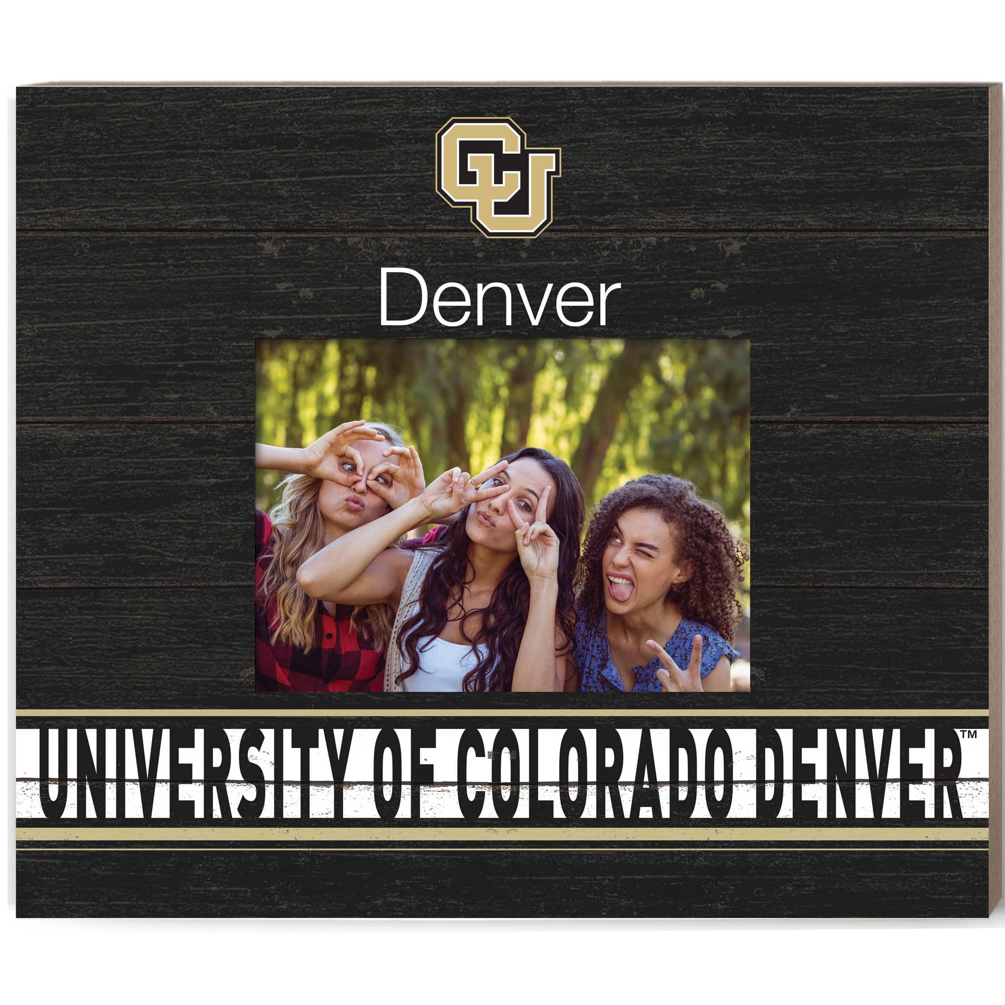 Jardine - CU Denver Lynx 11'' x 13'' Team Spirit Scholastic Picture Frame - Black price history on PriceWatchPro