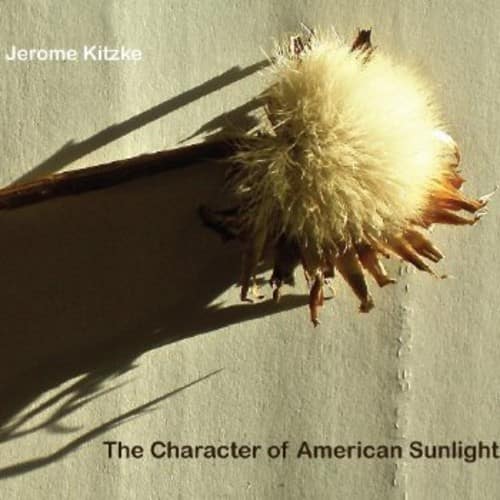 Jerome Kitzke - Character of American Sunlight   - COMPACT DISCS [CD] price history on PriceWatchPro
